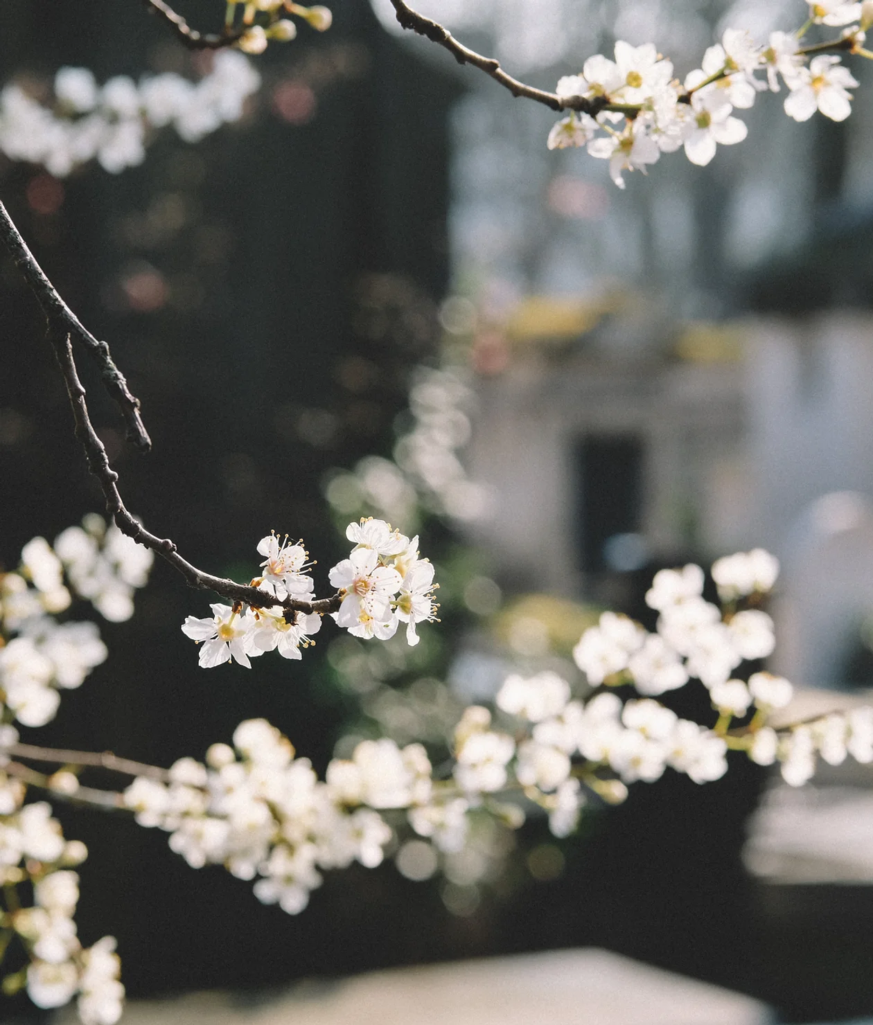 Свеча для ритуальных услуг